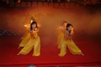 2009ӭ(hu)ӡͿ衷